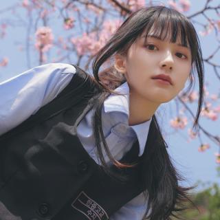 疯狂狂运车