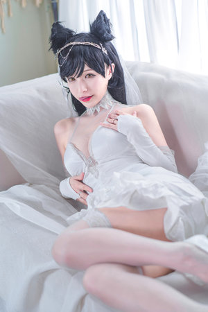 皇家萌宠
