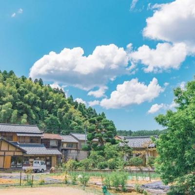 落地请开手机 高清