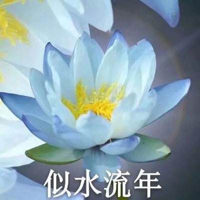 狼牙特种部队2