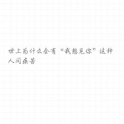 少年骇客拳击赛