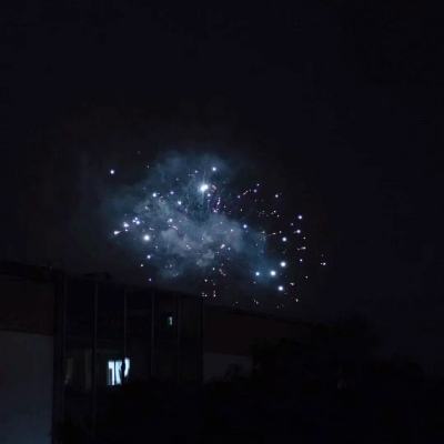 朵拉过鳄鱼湖