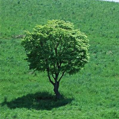 黄渤把我说哭了：起点太低的孩子，真的还有逆袭可能吗？