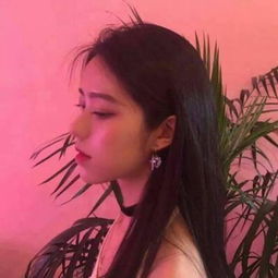 滑板兔子