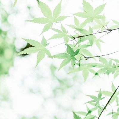 炫舞浪漫爱