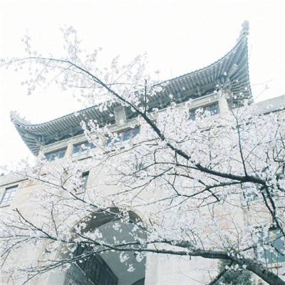 丛林野战排2无敌版