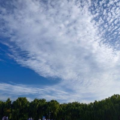 仙仙宝藏花园截图