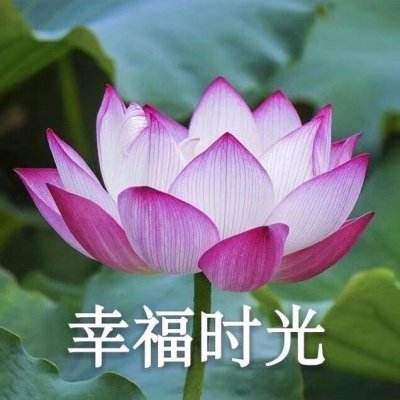 2014星座运势