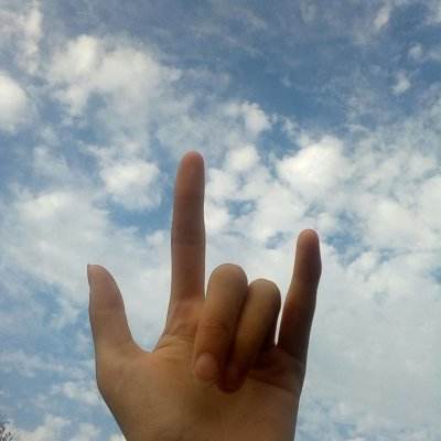 荒野日记