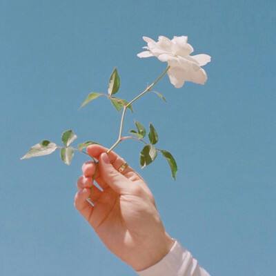 商务旅行中的女老板的帽子经典