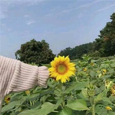 超人大跨栏