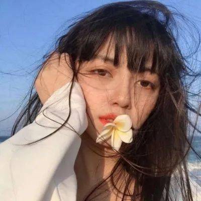 智商球万圣节版