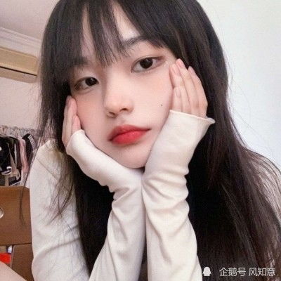 国际战斗象棋
