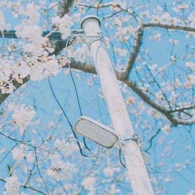 竞技台球