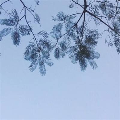 挂牌之全篇100免费挂牌