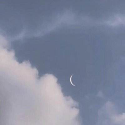 卡车疯狂