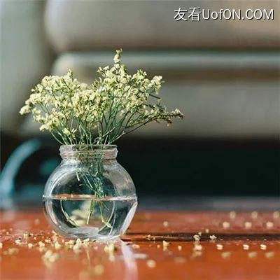 章鱼哥灭火记