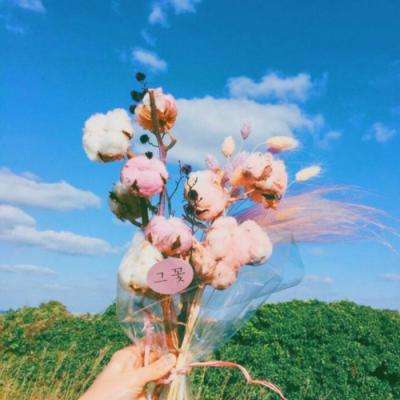 蜜桃视频app