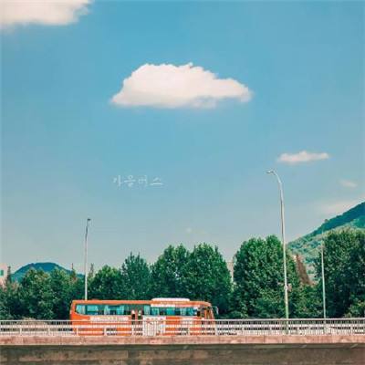 朵拉的自助早餐