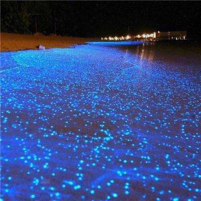 高压监狱 法国 满天星