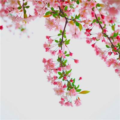 无人区电影完整版免费