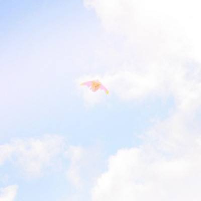 汽车公园停车无敌版