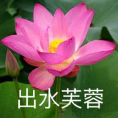 做个大餐