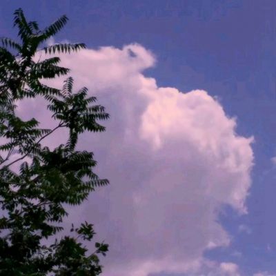 15点