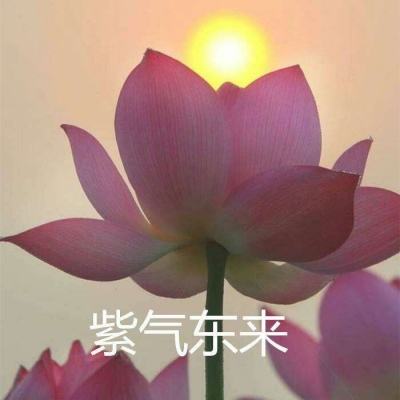 皇宫公主