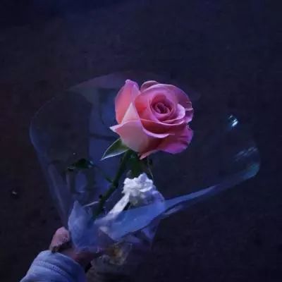 小欲女小污女导航的福利截图