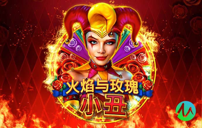 网球职业联赛