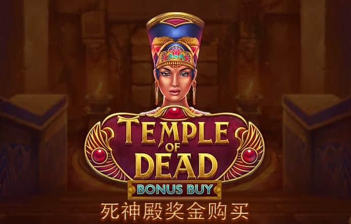 骇客终极战士无敌版